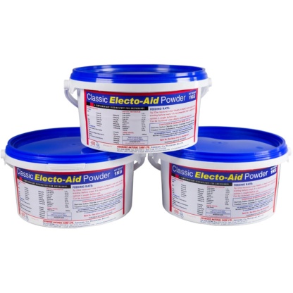 Electoaid Powder for rapid restoration.